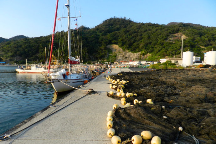 A photo of Silk Purse at the fishing ports of Taisha, Ishikawa